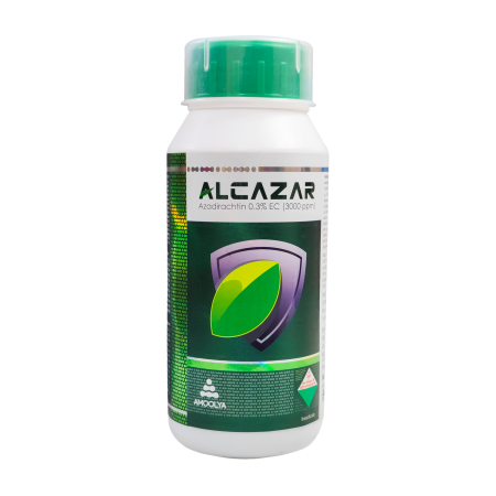 Alcazar