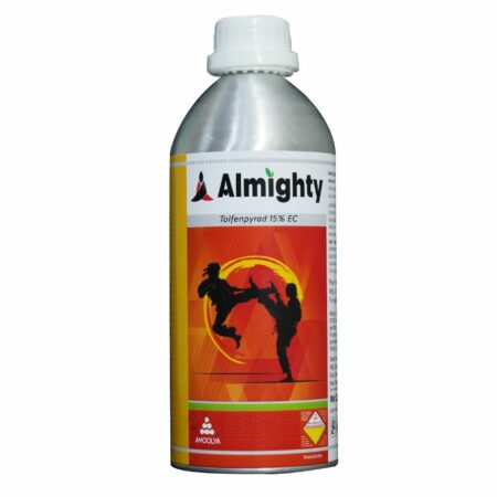 Almighty