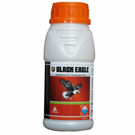 Black Eagle