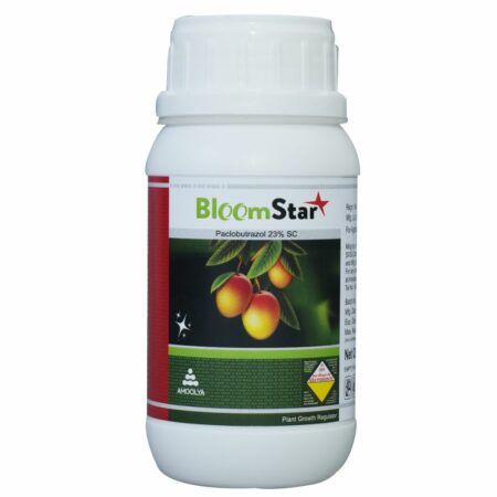 Bloomstar