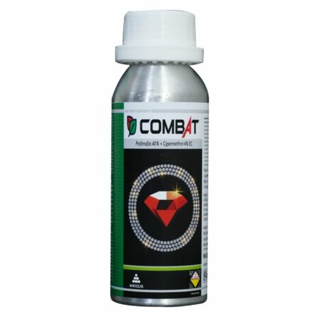 Combat