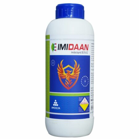 Imidaan