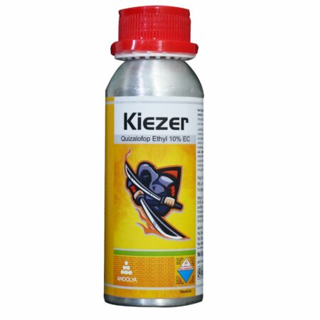 Kiezer
