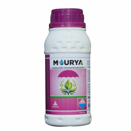 Mourya