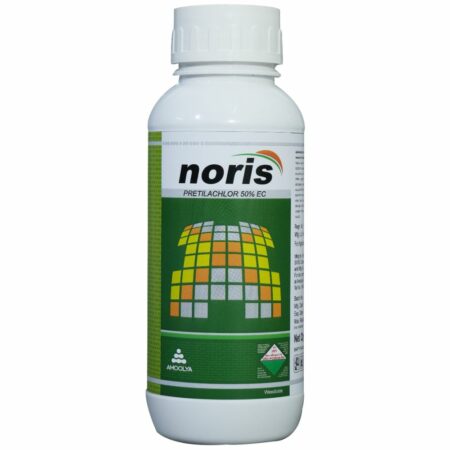 Noris