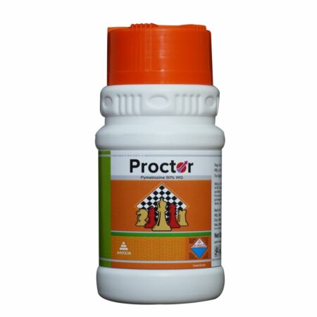 Proctor