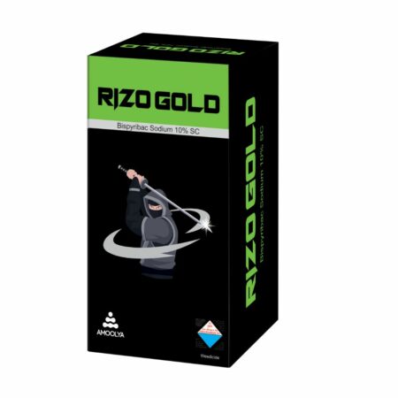 Rizo Gold